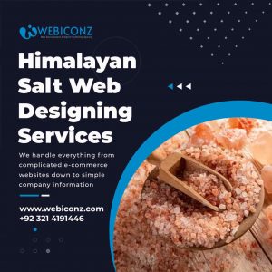 himalayan salt web development services, Himalayan salt web design agency, Himalayan salt website design company,