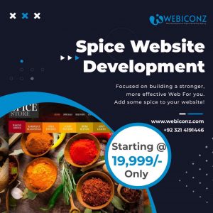 Spice web development services, Spice web design agency, Spice website development company,