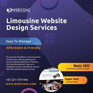 best limo web designer, best limo website design, Limousine Web Design, Limousine Service Company Website,