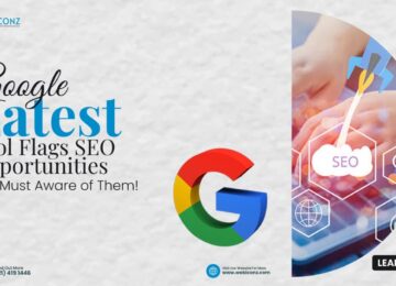 Google search update, google search console, google search tool flags,